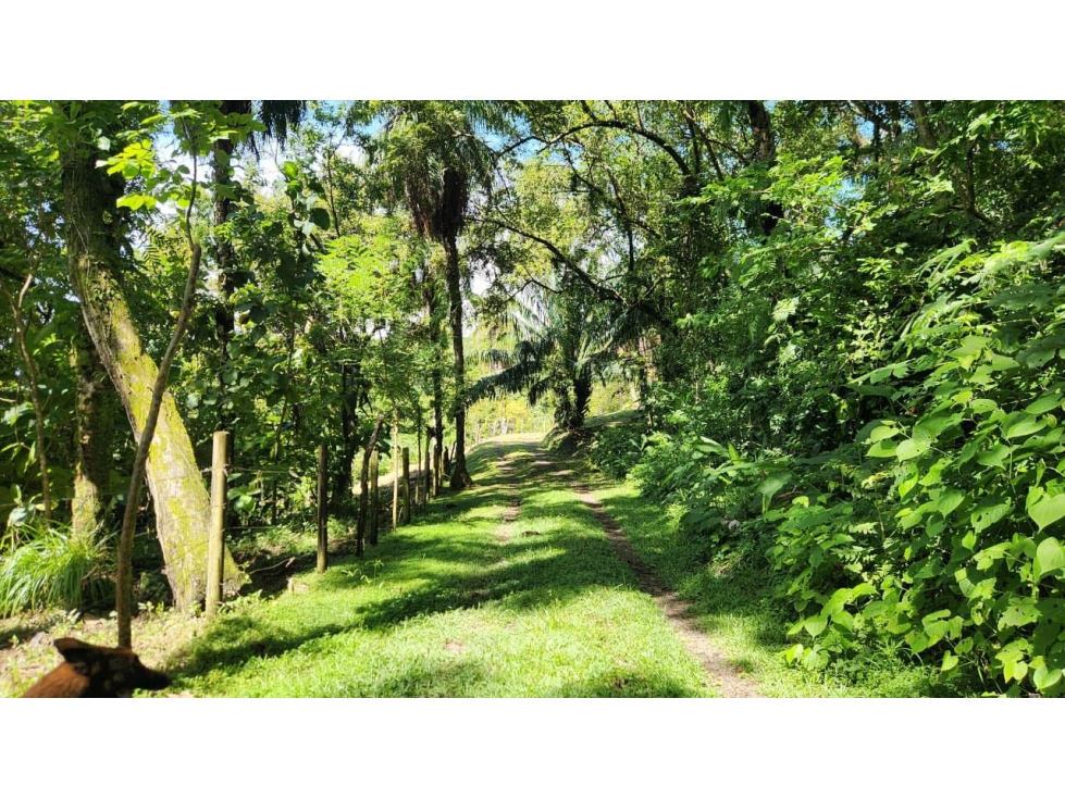 Lote Con Vista al Mar en Boca Brava - 5