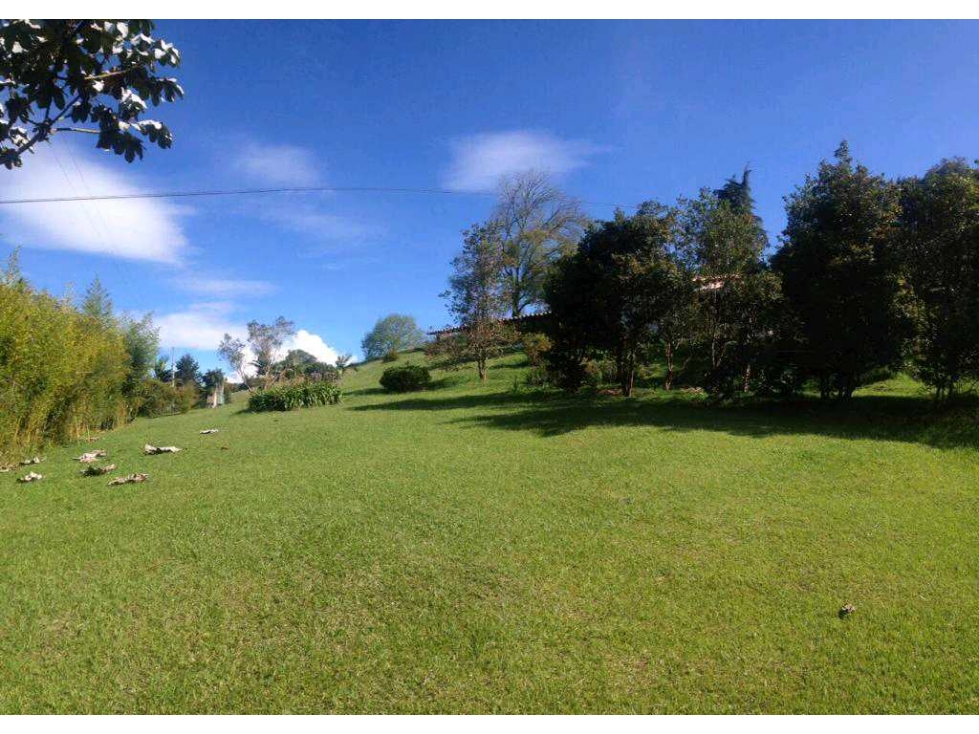 Lote de 10.000 m²con Casa Rustica Sajonia Variante palmas en venta