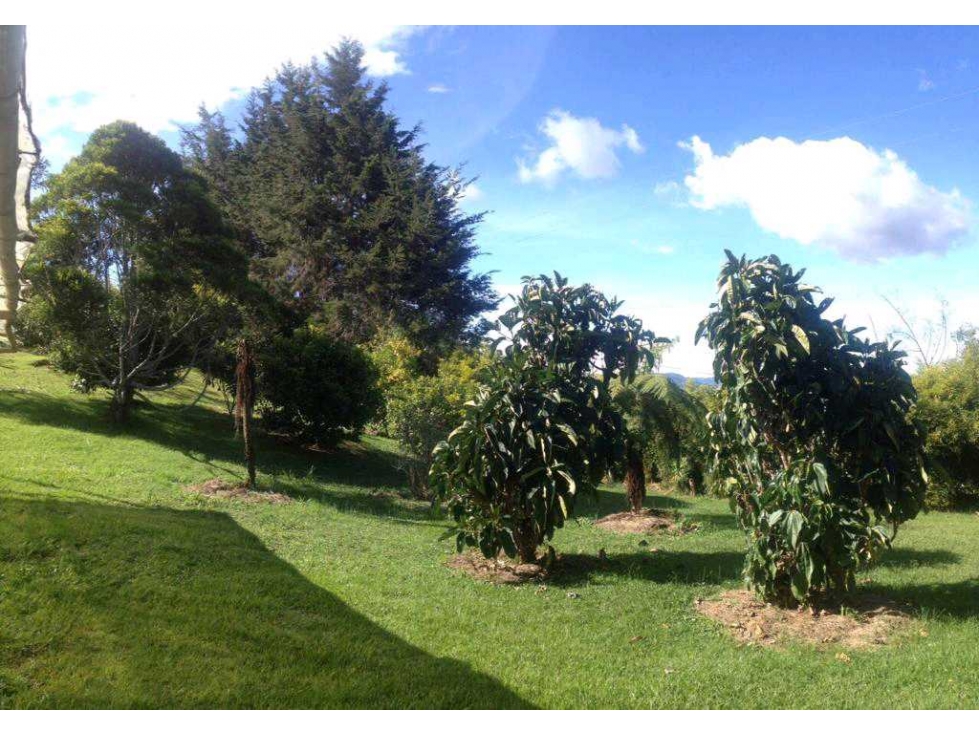 Lote de 10.000 m²con Casa Rustica Sajonia Variante palmas en venta — foto 2