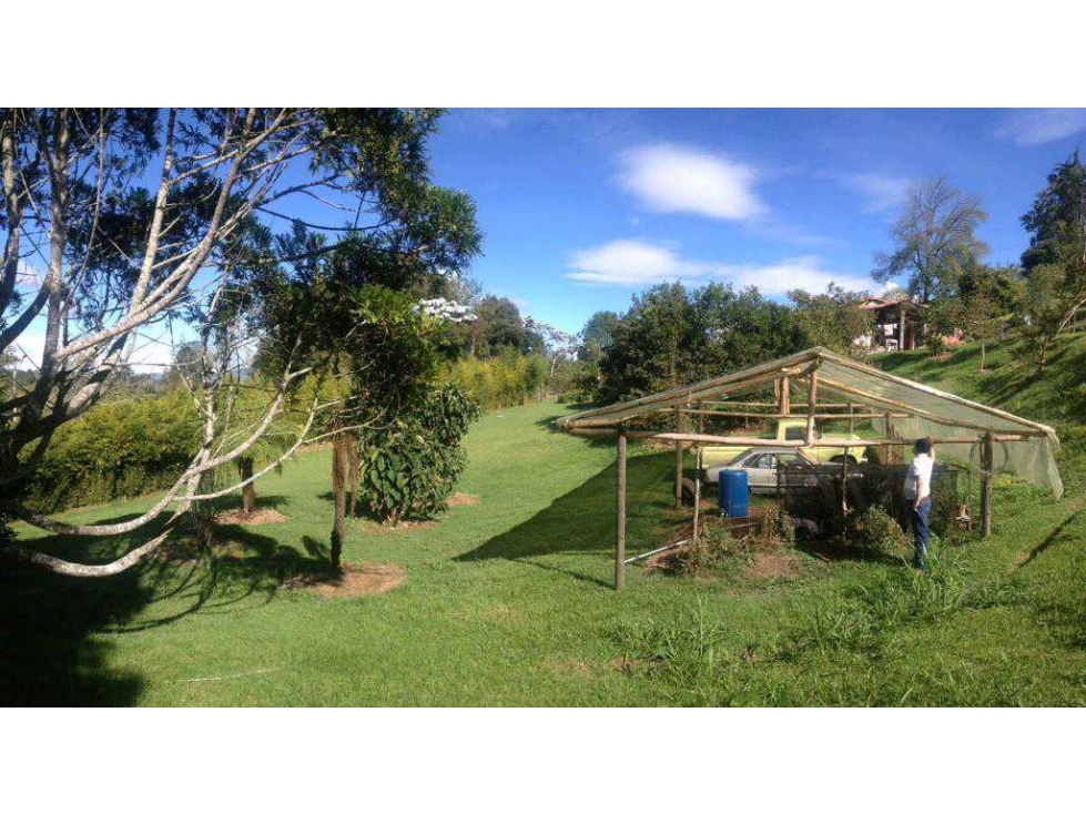 Lote de 10.000 m²con Casa Rustica Sajonia Variante palmas en venta — foto 4
