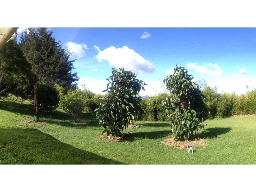 Lote de 10.000 m²con Casa Rustica Sajonia Variante palmas en venta — foto 6