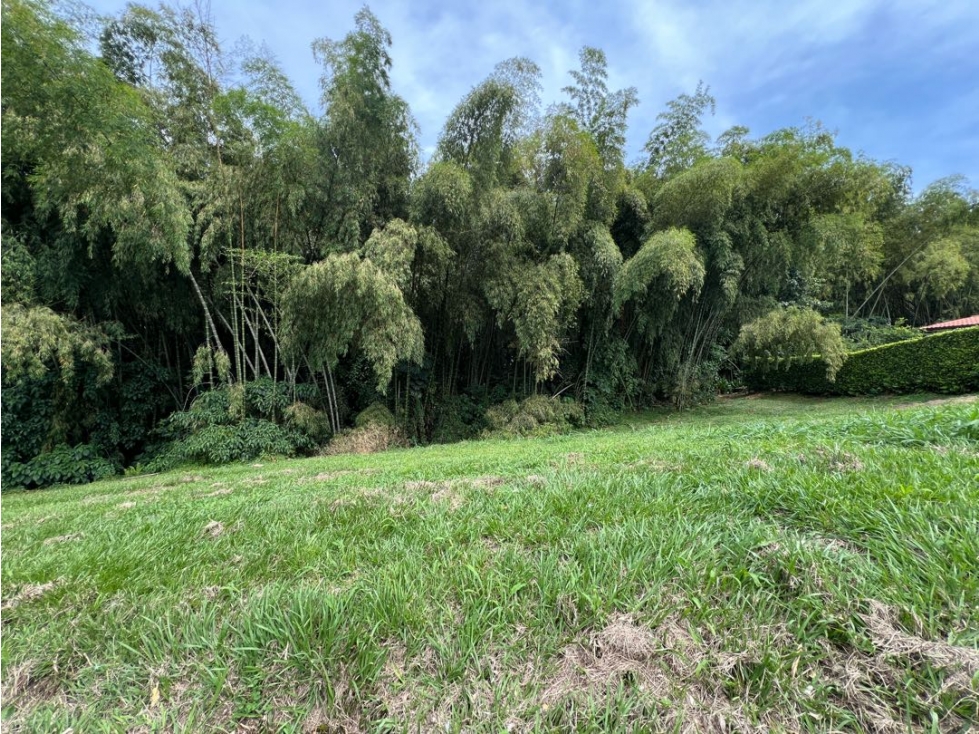 Lote Condominio Campestre Cerritos Pereira — foto 2