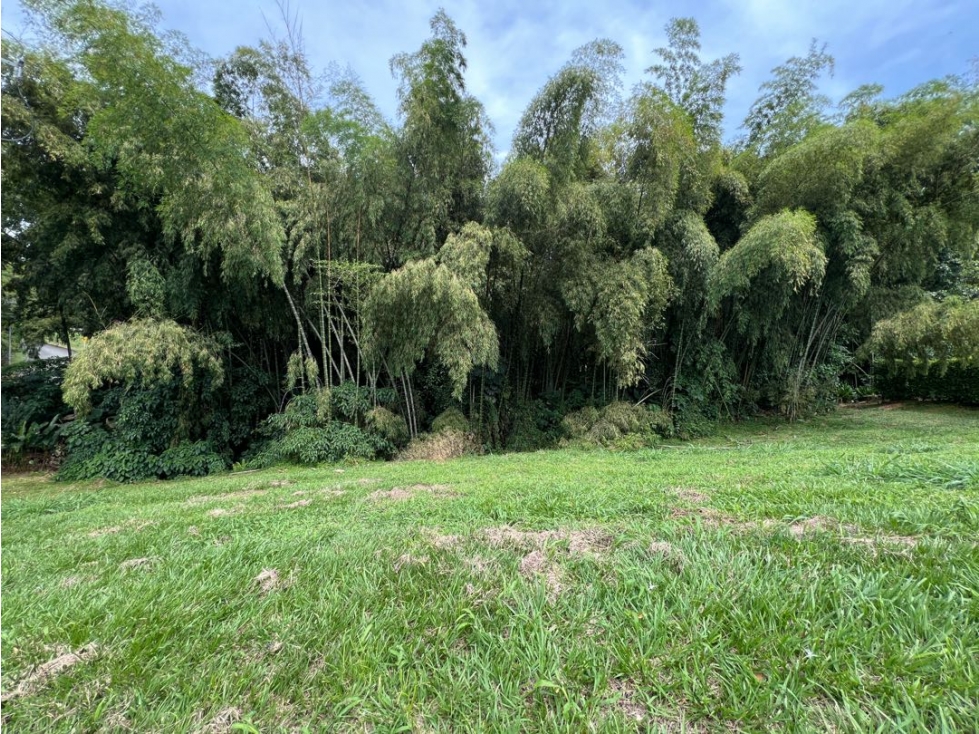 Lote Condominio Campestre Cerritos Pereira — foto 3