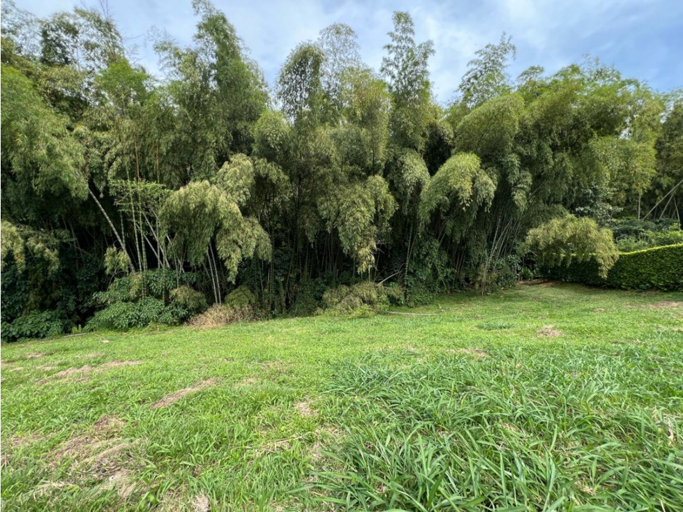 Lote Condominio Campestre Cerritos Pereira — foto 5