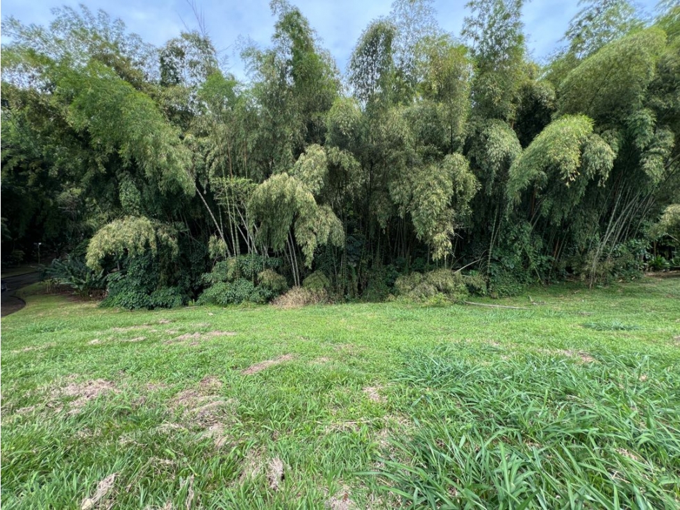 Lote Condominio Campestre Cerritos Pereira — foto 6