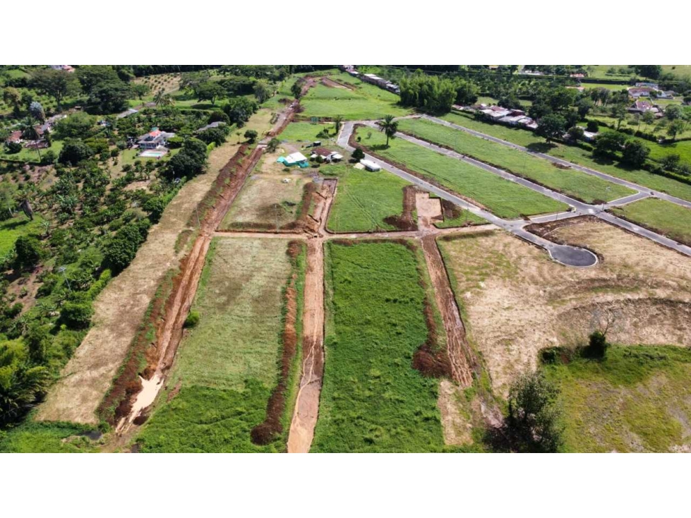 Lote Condominio Campestre Risaralda Caldas Km 13 Vía Pacífico 3 - 3