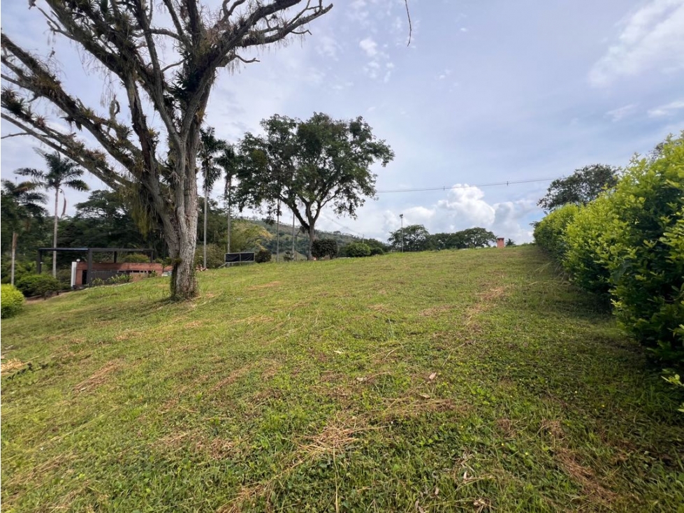 Lote Condominio Campestre Vereda Palermo Manizales Medellín