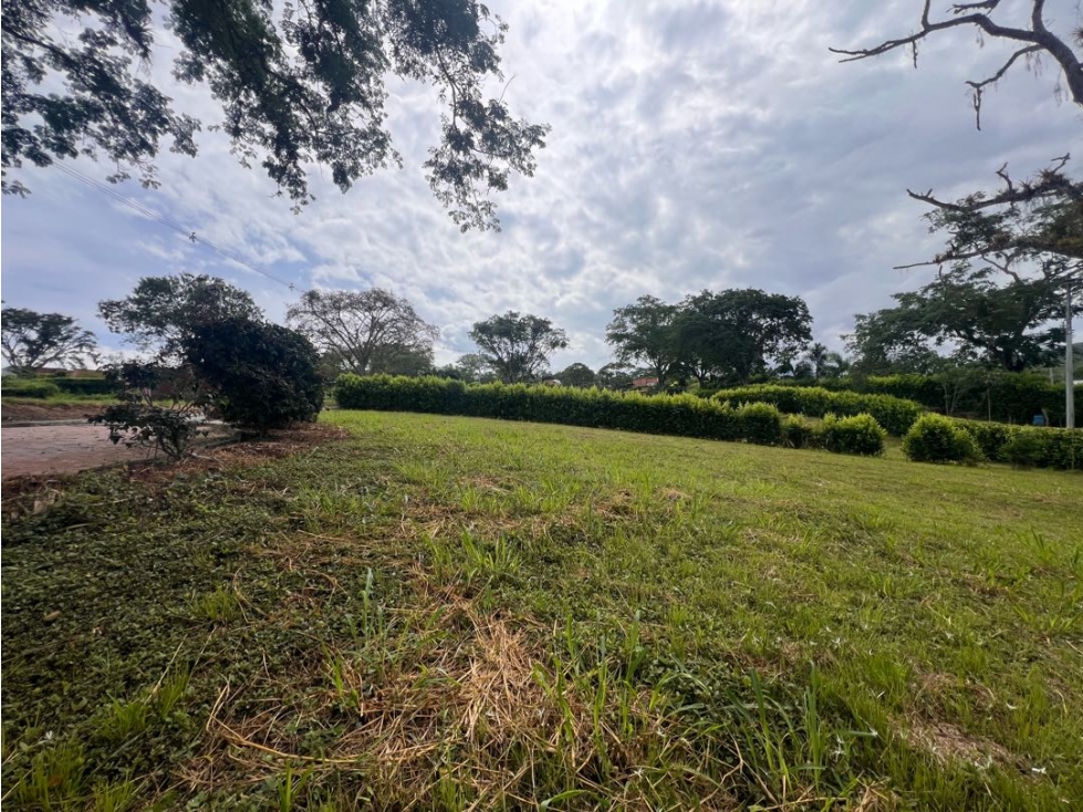 Lote Condominio Campestre Vereda Palermo Manizales Medellín — foto 2