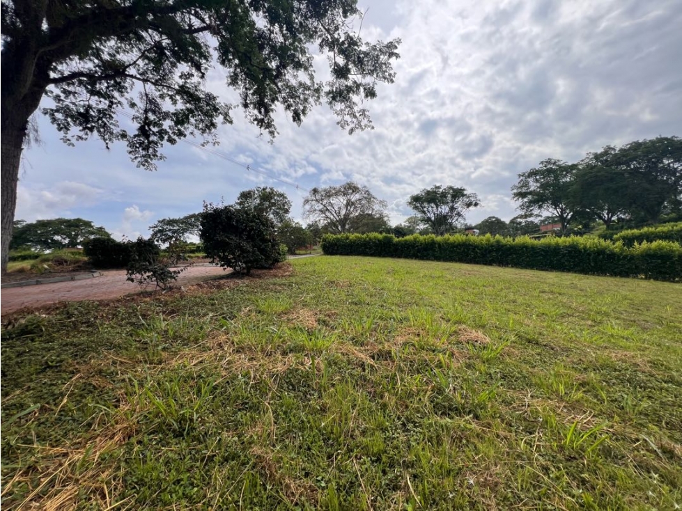 Lote Condominio Campestre Vereda Palermo Manizales Medellín — foto 3
