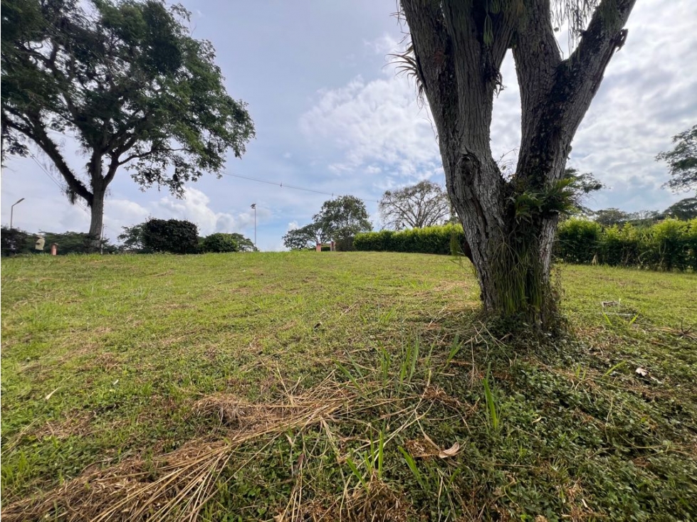 Lote Condominio Campestre Vereda Palermo Manizales Medellín — foto 4
