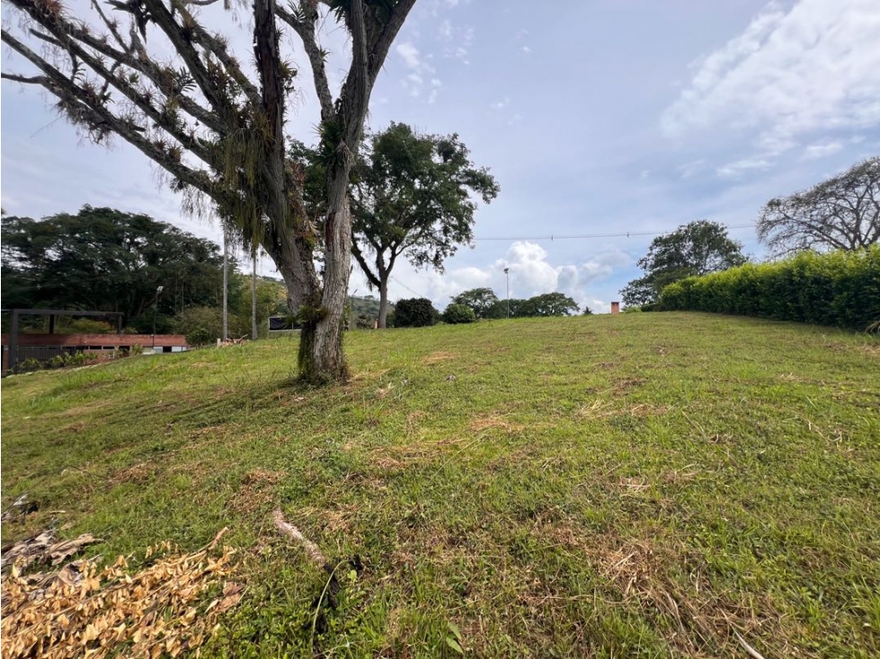 Lote Condominio Campestre Vereda Palermo Manizales Medellín — foto 5