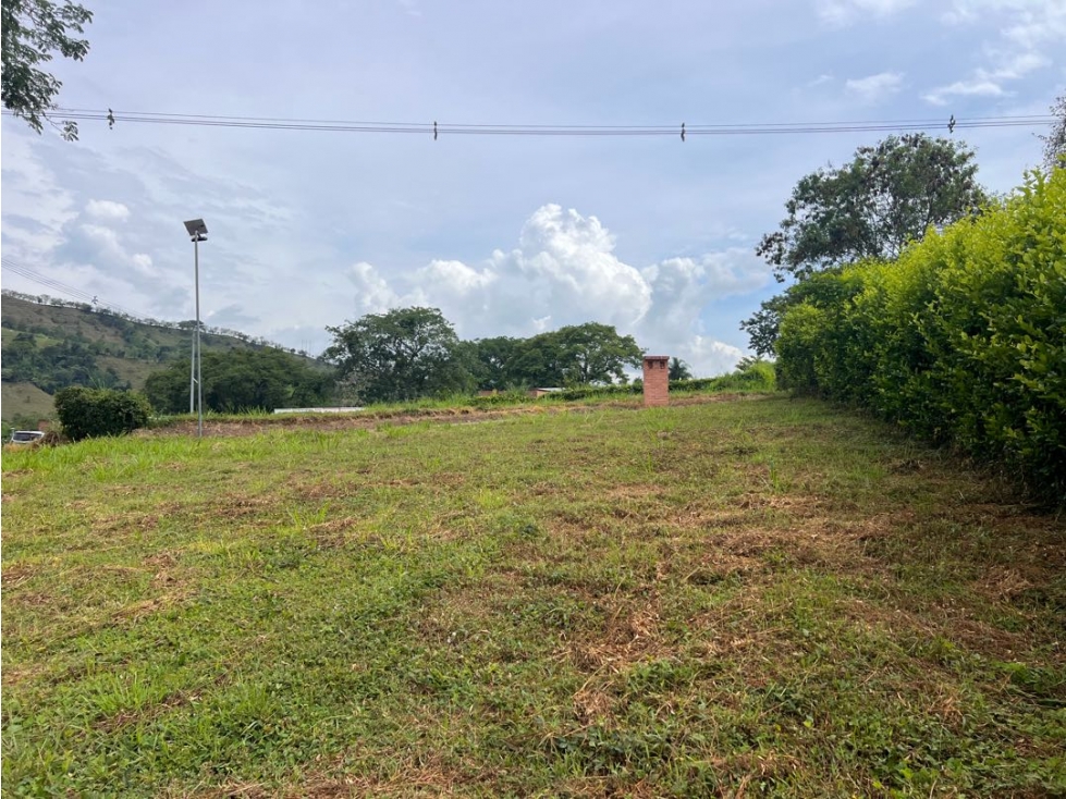 Lote Condominio Campestre Vereda Palermo Manizales Medellín — foto 6
