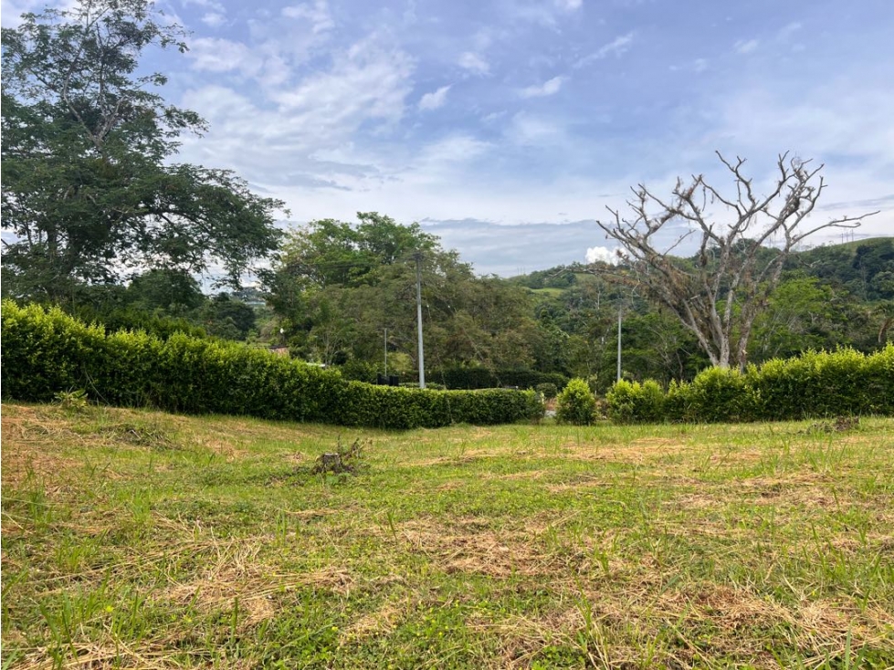 Lote Condominio Campestre Vereda Palermo Manizales Medellín