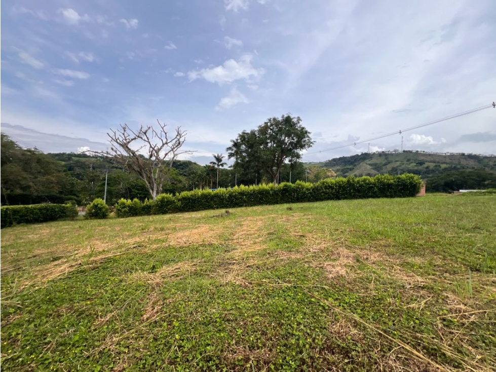 Lote Condominio Campestre Vereda Palermo Manizales Medellín — foto 3