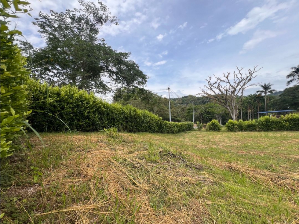 Lote Condominio Campestre Vereda Palermo Manizales Medellín — foto 4