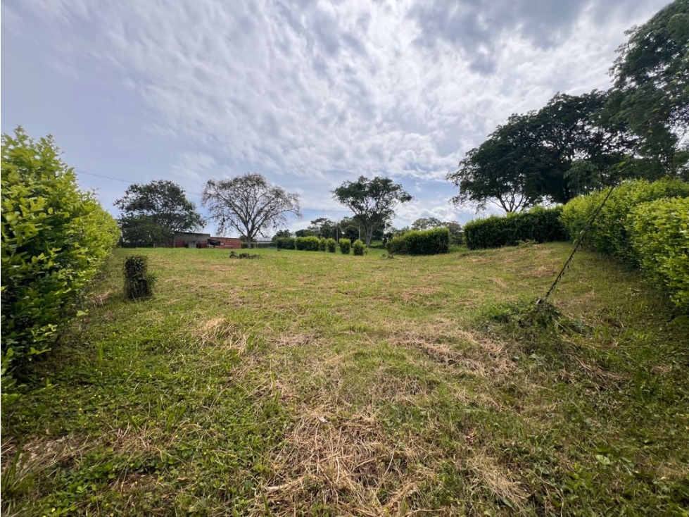 Lote Condominio Campestre Vereda Palermo Manizales Medellín — foto 5