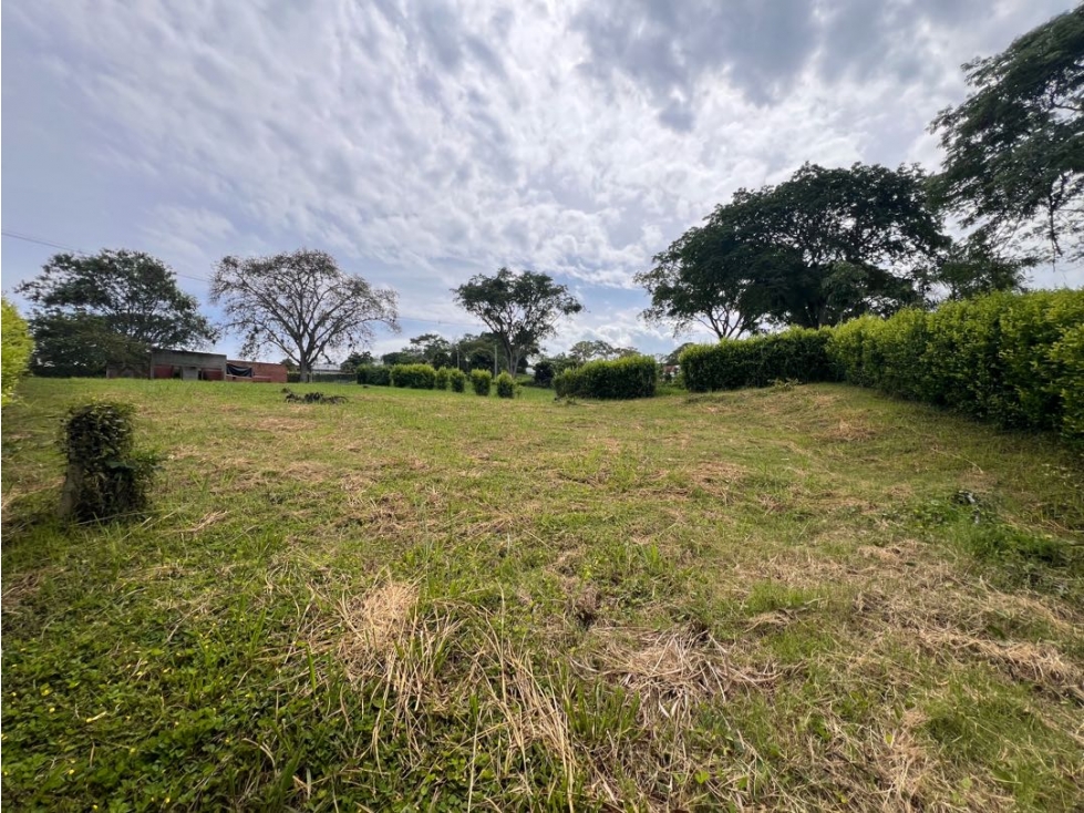 Lote Condominio Campestre Vereda Palermo Manizales Medellín — foto 6