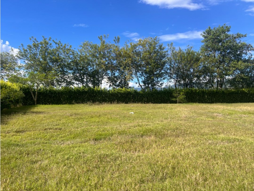 Lote Condominio Campestre Viterbo Caldas Pereira - 5
