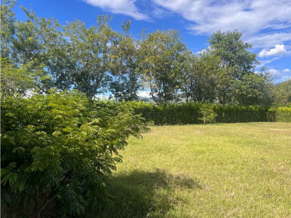Lote Condominio Campestre Viterbo Caldas Pereira - 6