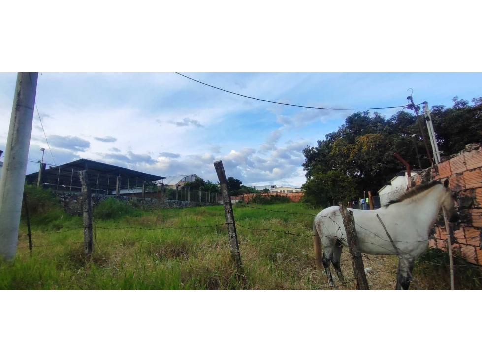 Lote de 1000 M2 urbano en 1500 Millones en La Mesa Cund - 2