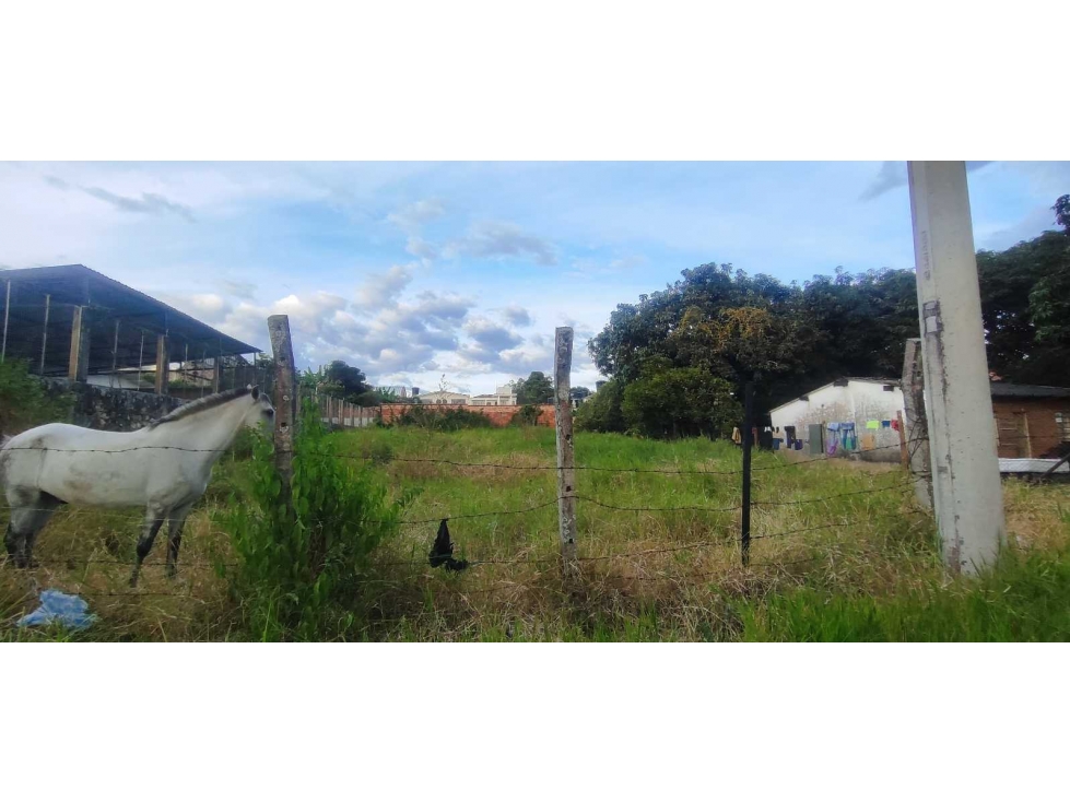Lote de 1000 M2 urbano en 1500 Millones en La Mesa Cund - 3