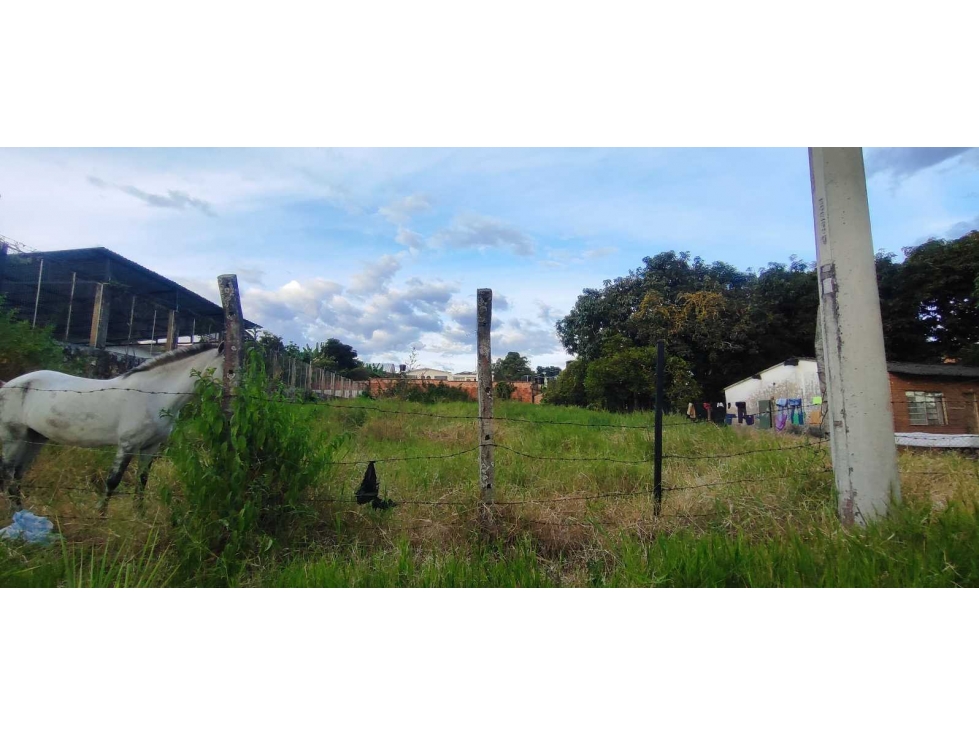 Lote de 1000 M2 urbano en 1500 Millones en La Mesa Cund - 4