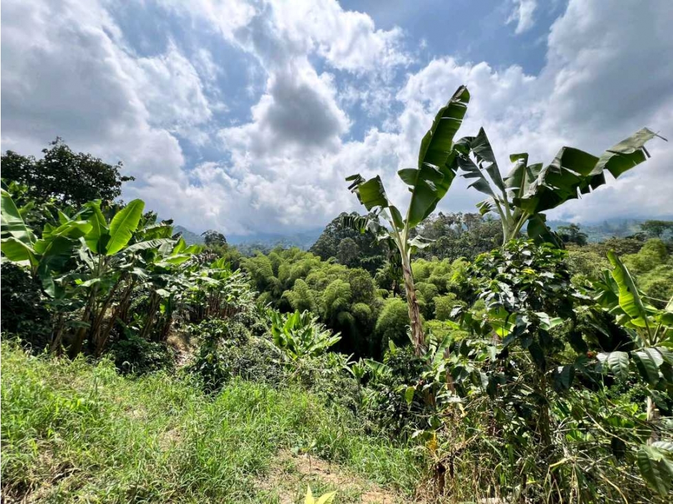 Lote de 11000m2 con vista y quebrada a 3.8 km de cordoba - 2