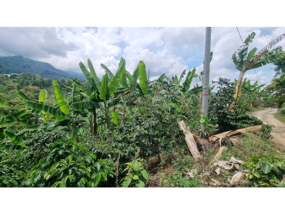 Lote de 11000m2 con vista y quebrada a 3.8 km de cordoba - 3