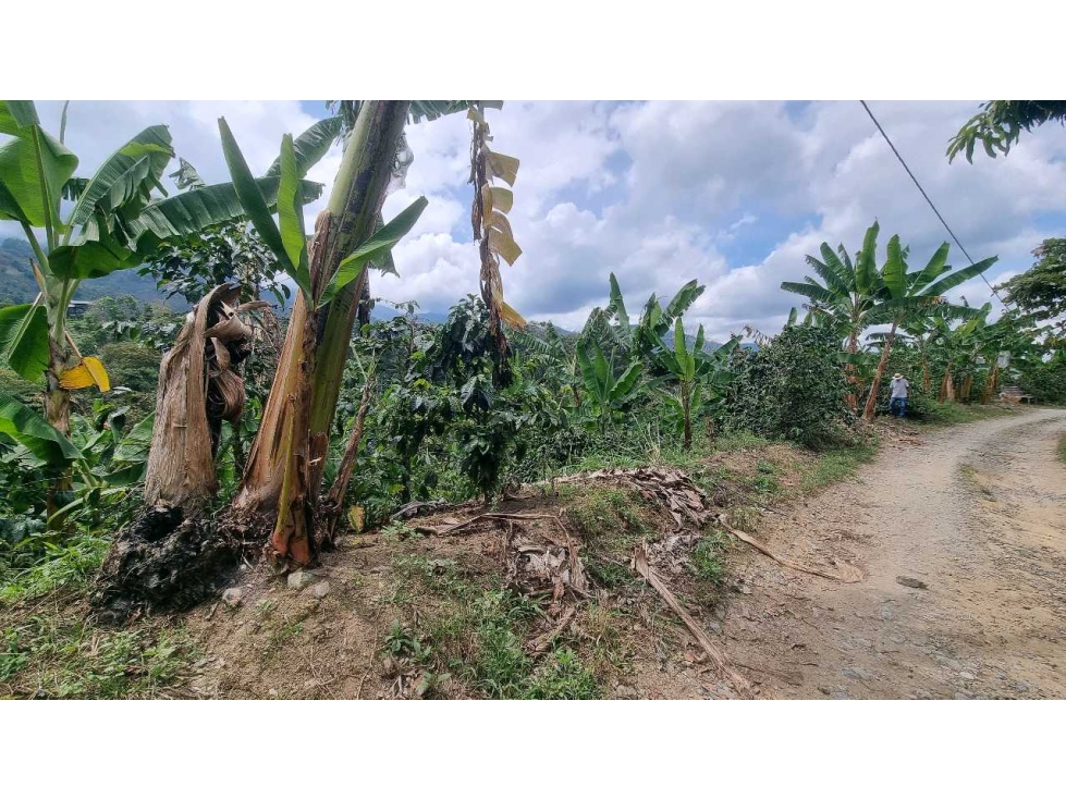 Lote de 11000m2 con vista y quebrada a 3.8 km de cordoba - 5