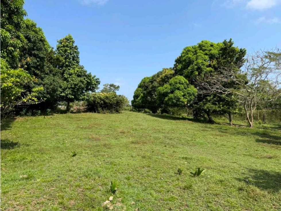 Lote de 1.166 metros ubicado en San Antero (Córdoba) - 4