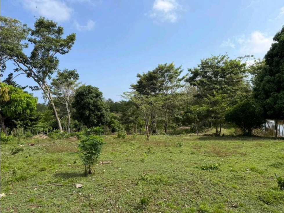 Lote de 1.166 metros ubicado en San Antero (Córdoba) - 5