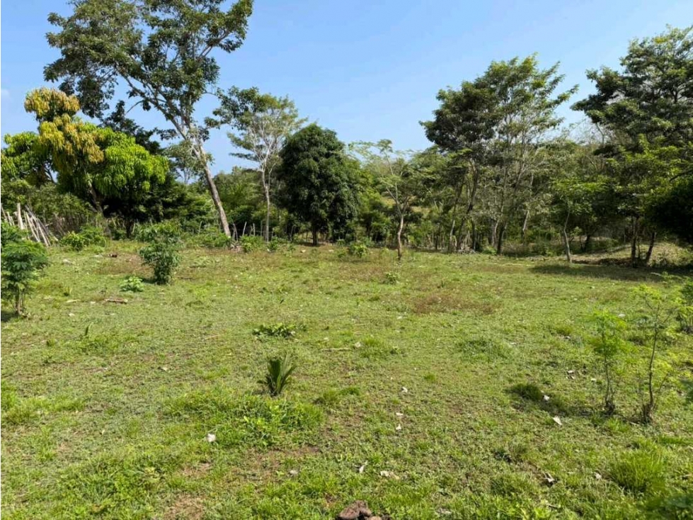 Lote de 1.166 metros ubicado en San Antero (Córdoba) - 6