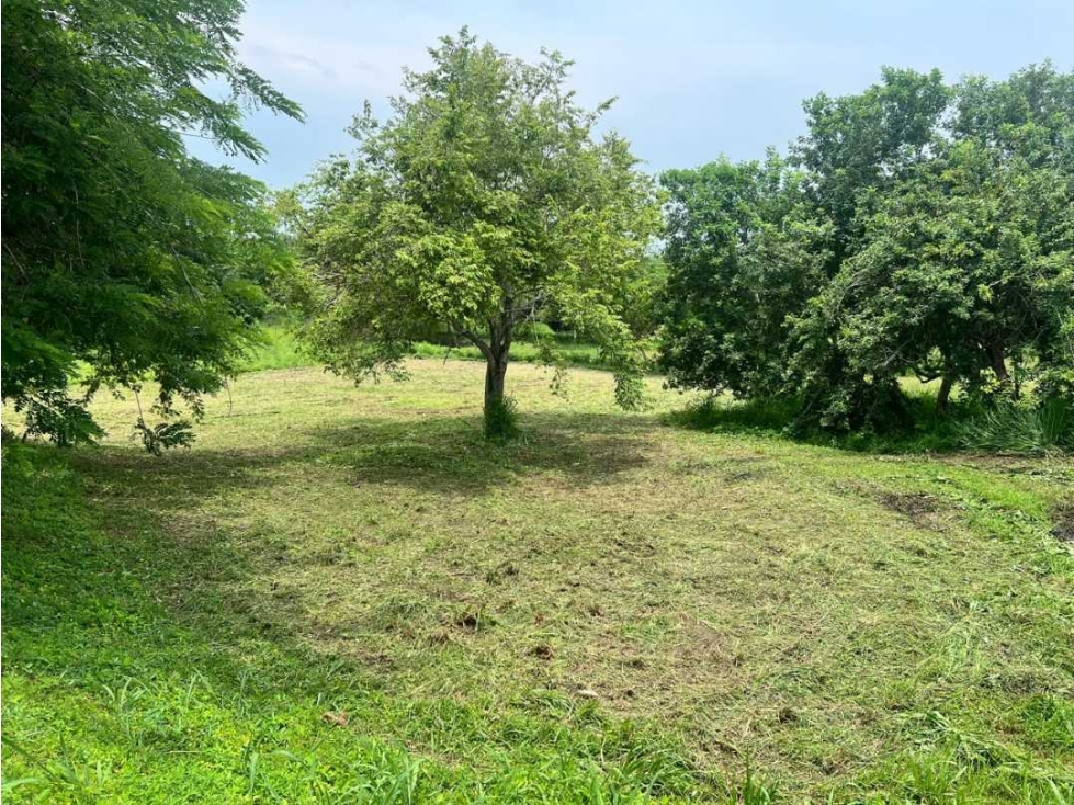 LOTE DE 1200M2 PARA VENTA EN ISLA DE BARU - MARINA BARU