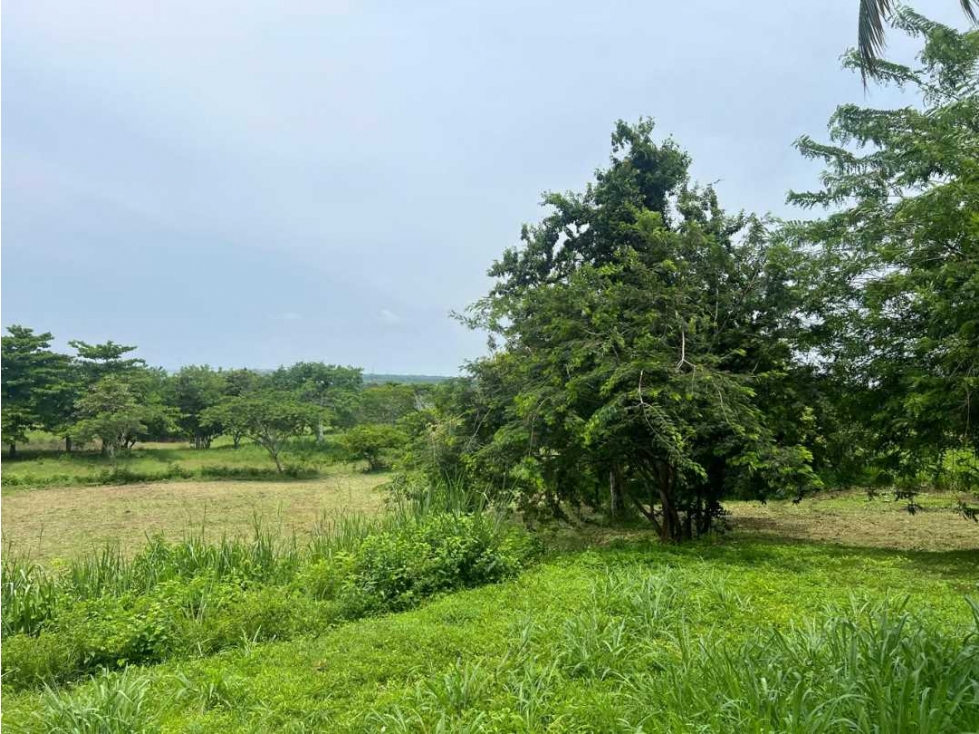 LOTE DE 1200M2 PARA VENTA EN ISLA DE BARU - MARINA BARU — foto 3