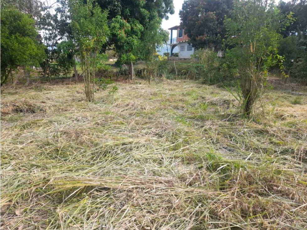 Lote de 1433 M2 en 120 mill en La Mesa Cund a 12 MIN del pueblo