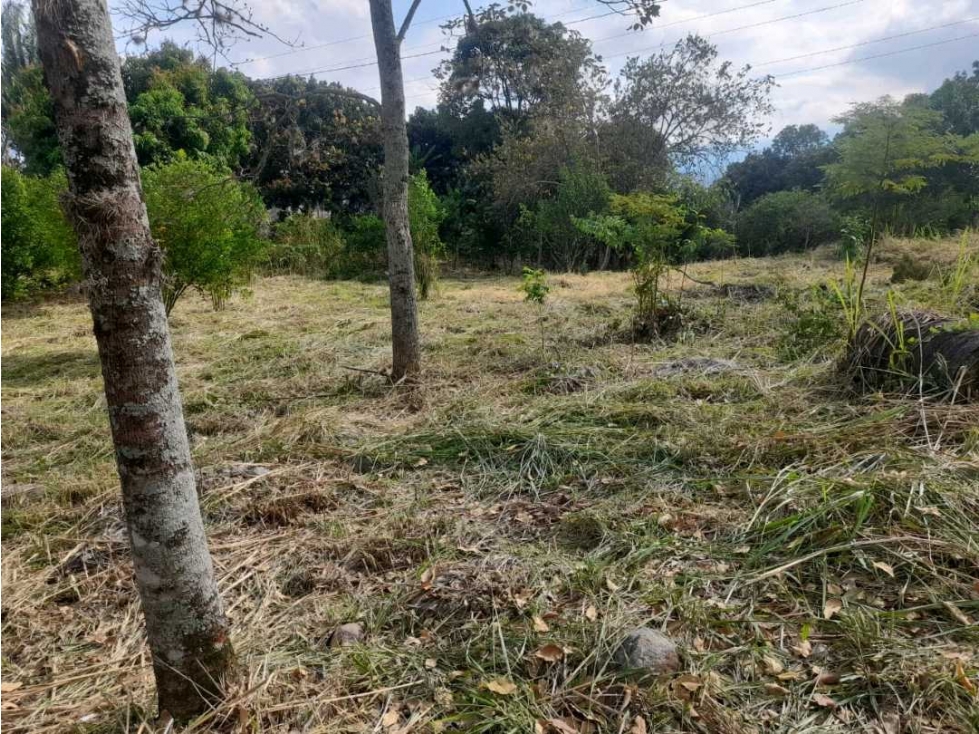 Lote de 1433 M2 en 120 mill en La Mesa Cund a 12 MIN del pueblo — foto 2