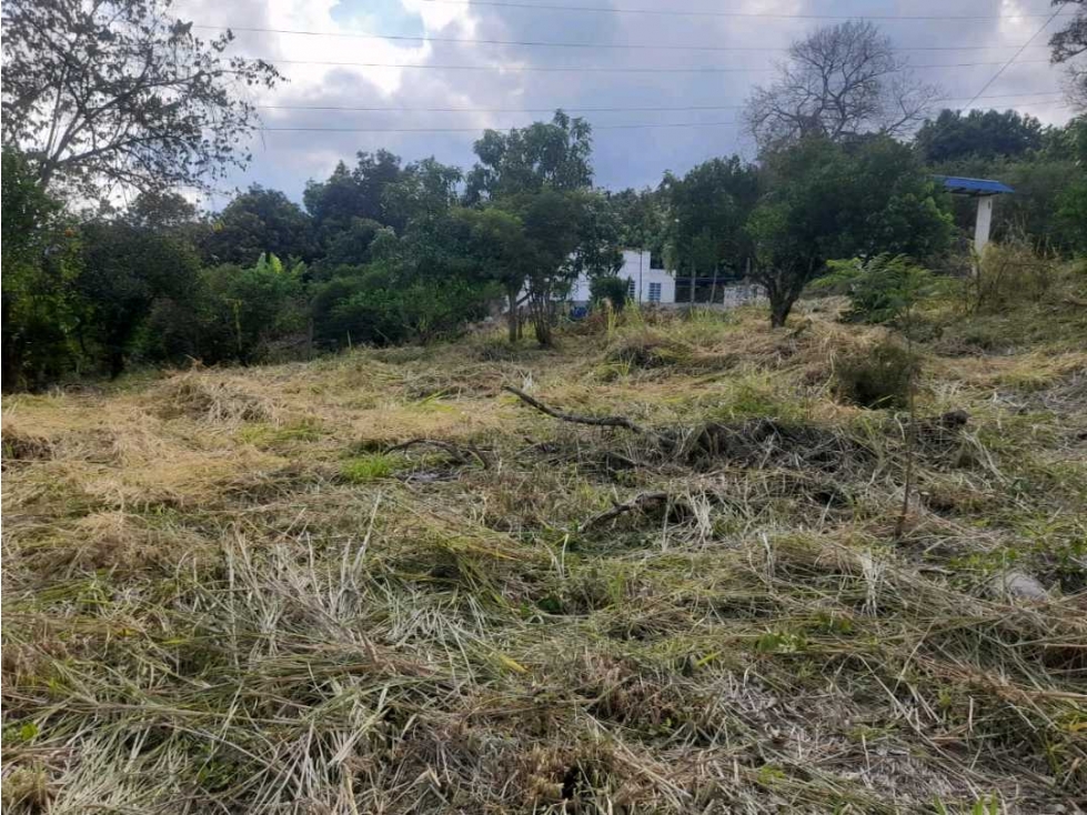 Lote de 1433 M2 en 120 mill en La Mesa Cund a 12 MIN del pueblo — foto 3