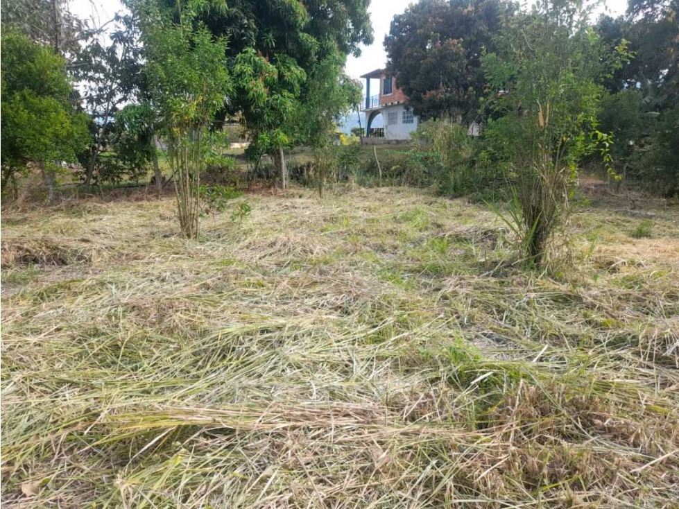 Lote de 1433 M2 en 120 mill en La Mesa Cund a 12 MIN del pueblo — foto 5