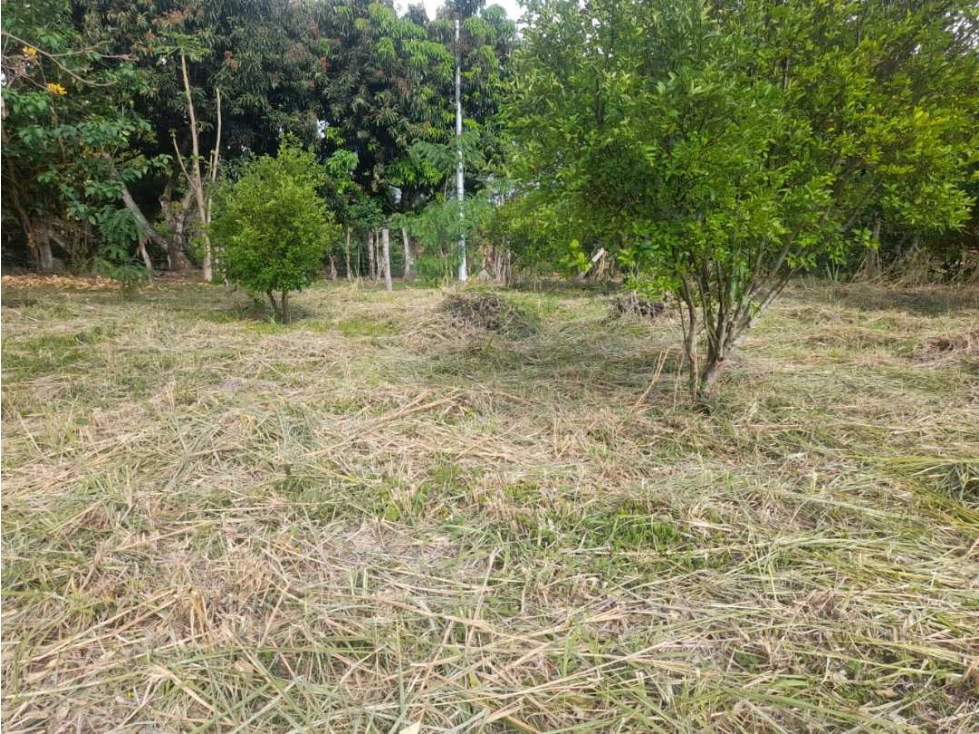 Lote de 1433 M2 en 120 mill en La Mesa Cund a 12 MIN del pueblo — foto 6