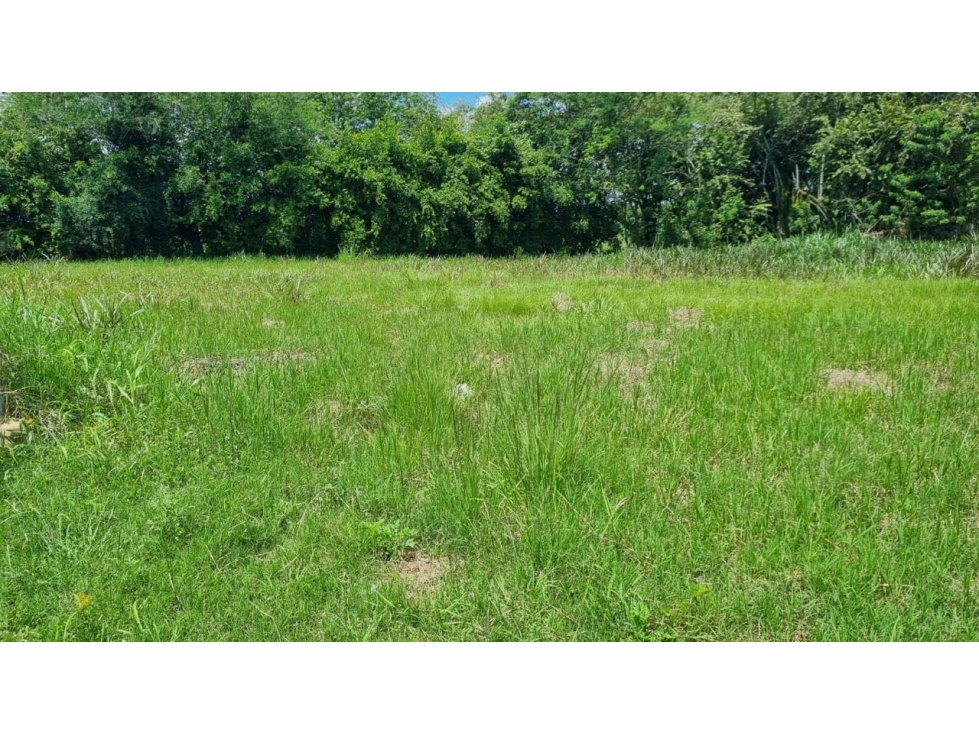Lote de 1.485m2 en parcelación en venta Santa Elena El Cerrito Valle