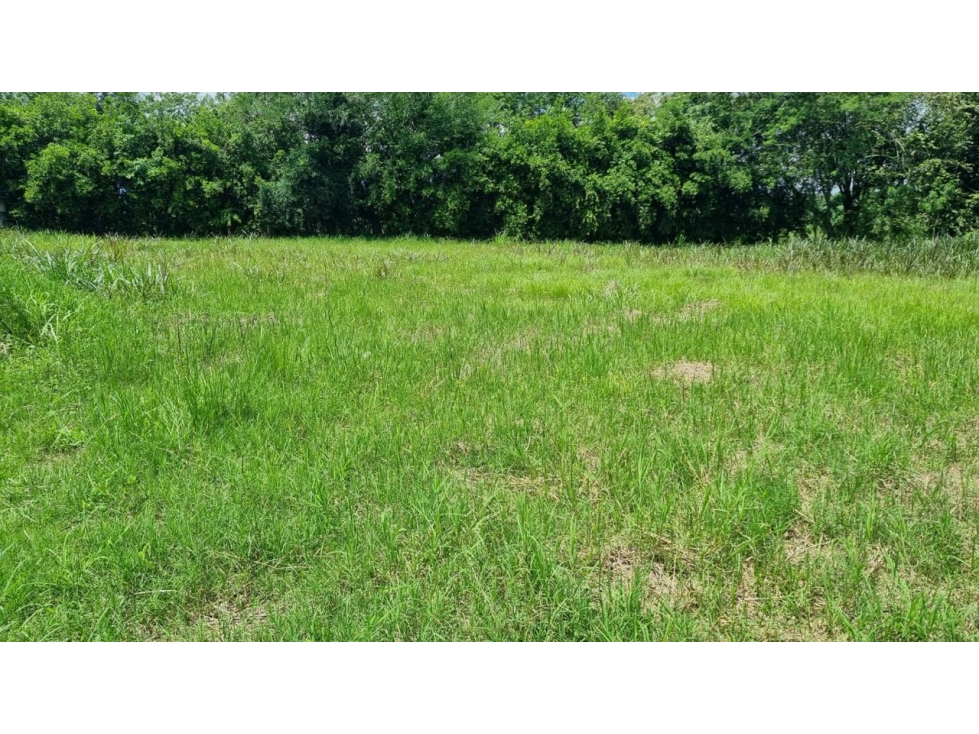 Lote de 1.485m2 en parcelación en venta Santa Elena El Cerrito Valle — foto 2