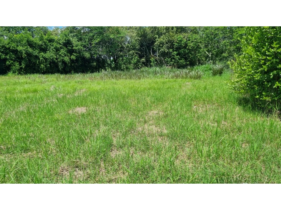 Lote de 1.485m2 en parcelación en venta Santa Elena El Cerrito Valle — foto 3