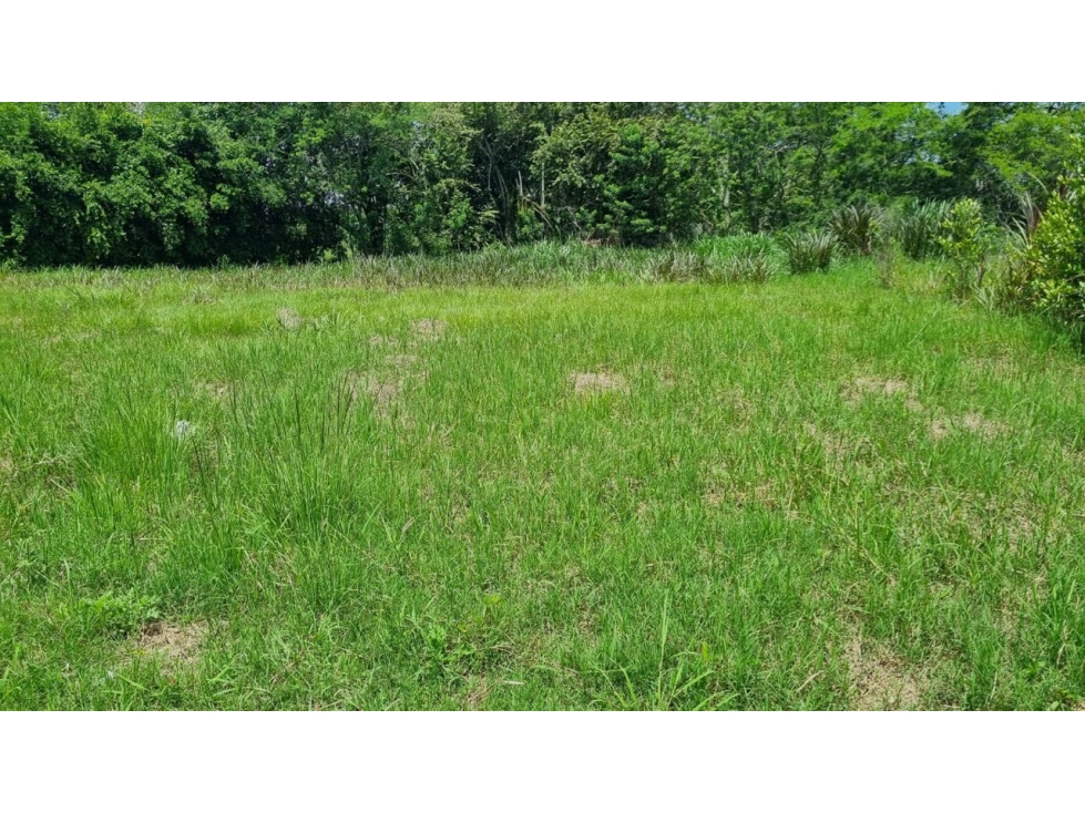 Lote de 1.485m2 en parcelación en venta Santa Elena El Cerrito Valle — foto 4