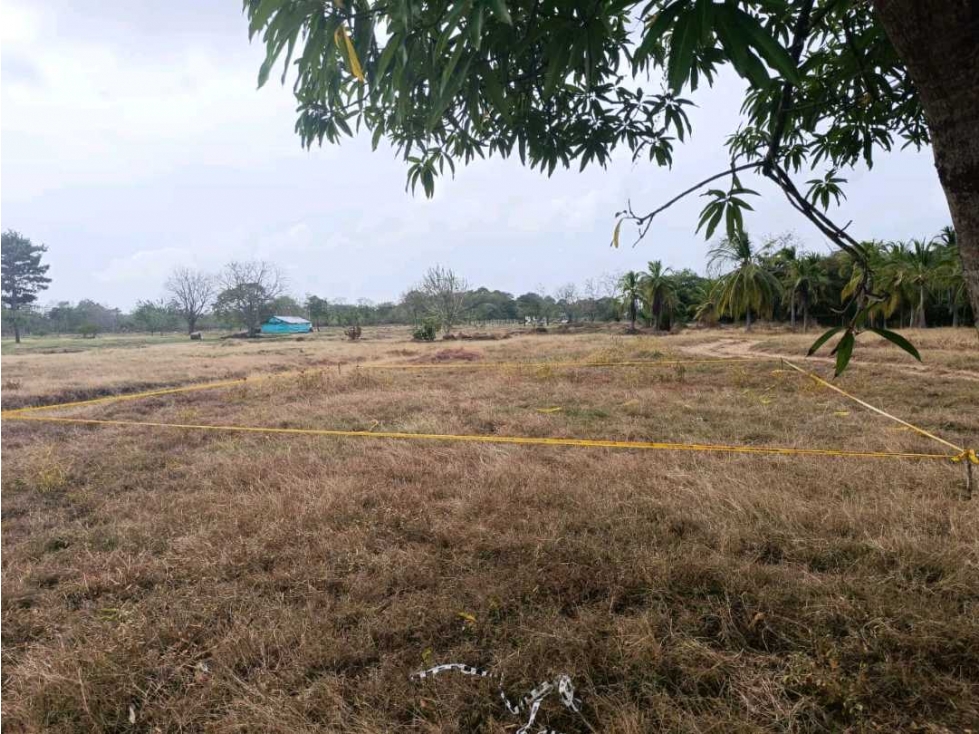 Lote de 155 mts cuadrados en Venta en Moñitos - 3