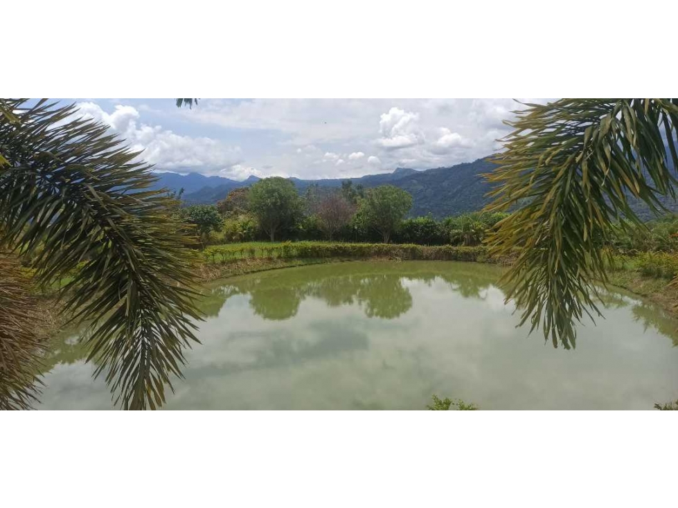 Lote De 1700 M2 En Condominio En La Mesa Cundi — foto 3