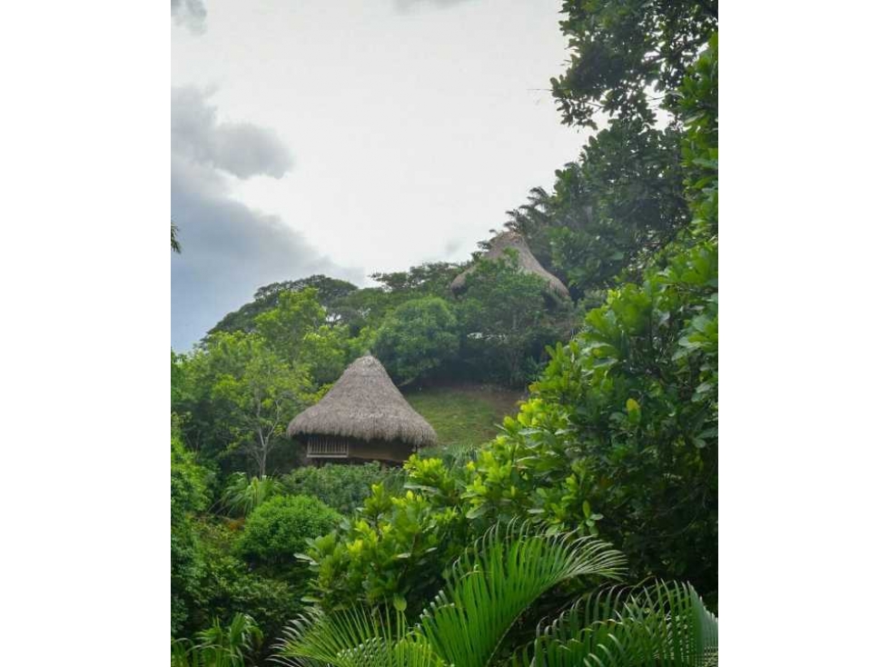 Lote de 1 hectárea con cabañas a menos de 7 kms del parque tayrona — foto 5