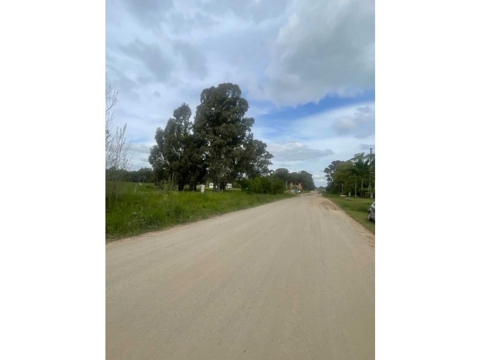 LOTE DE 1 HECTÁREA EN VENTA EN TANDIL - 2