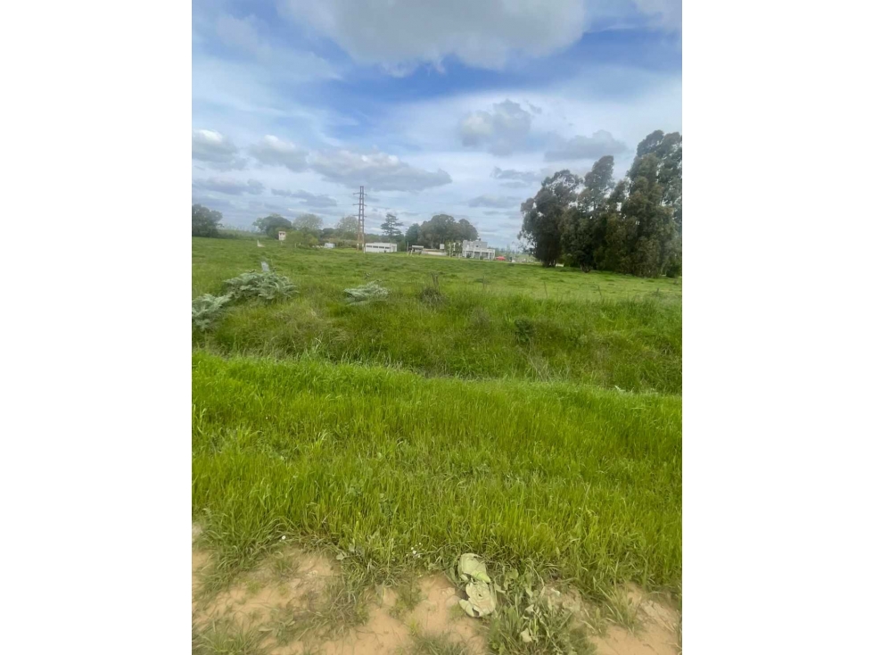 LOTE DE 1 HECTÁREA EN VENTA EN TANDIL - 3