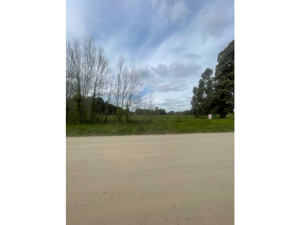 LOTE DE 1 HECTÁREA EN VENTA EN TANDIL - 4