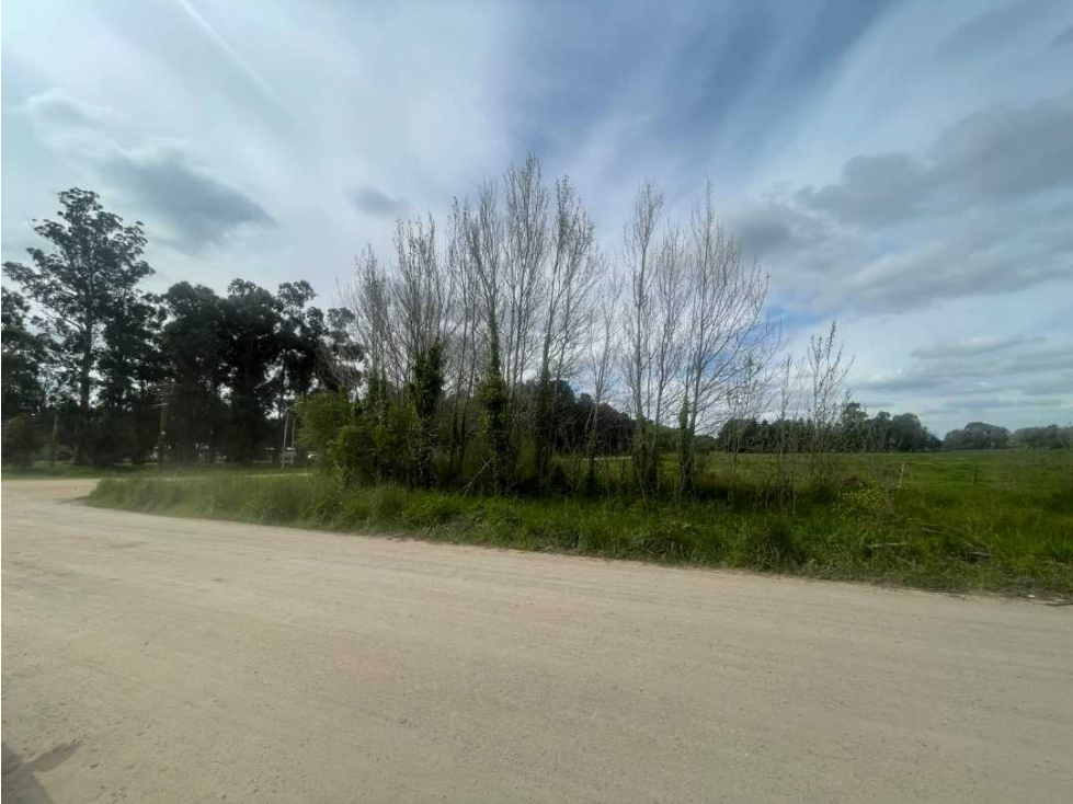 LOTE DE 1 HECTÁREA EN VENTA EN TANDIL - 5